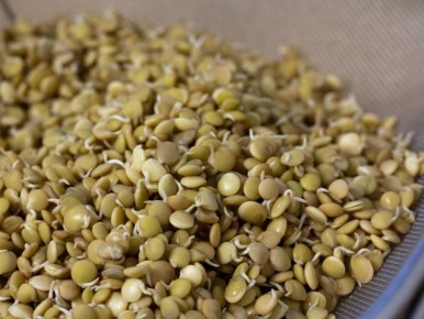 ��� �������� �������� ��������� �����: ������� ������������ ���������