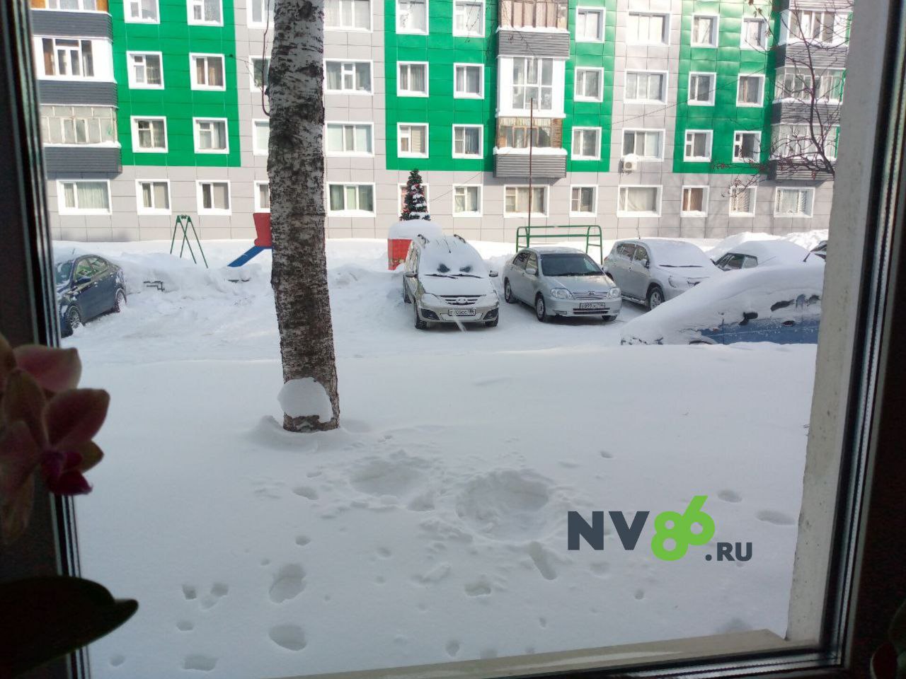 Подборка мартовских новогодних елочек Подборка мартовских новогодних елочек