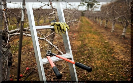 ��� ��������� �������� �������� �������: ������ �� ����� �� ����� ������