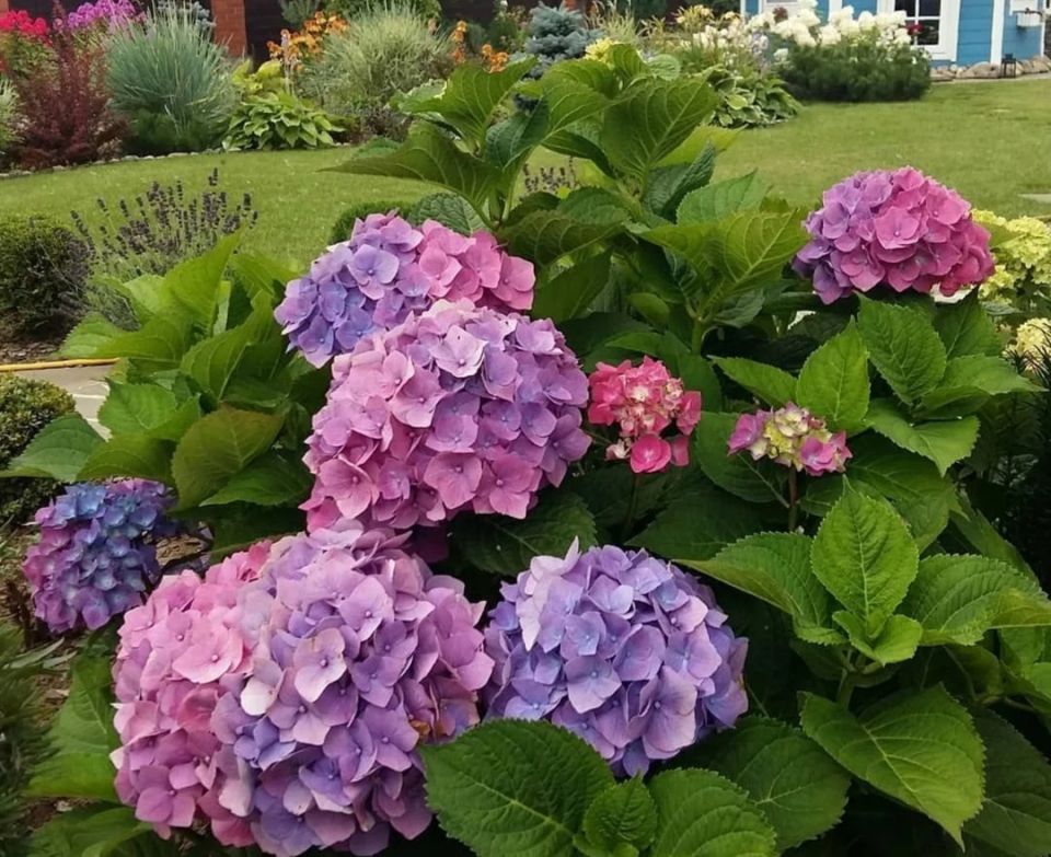 ��� ������ ������������� ��������� �� ����: ������� � ������