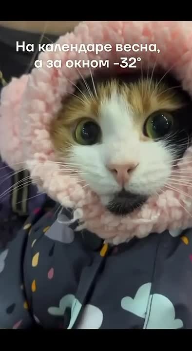 Осторожно, двери закрываются, следующая остановка: весна (на термометр не смотреть)