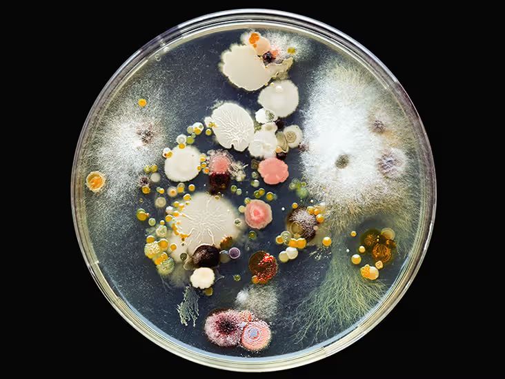 ����� ��� ����� ��������: ��� �������� ���� �� ������� ��������