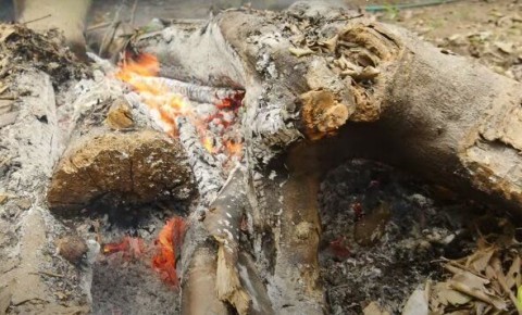 ��������� ����: ������ �������� ����� ��������