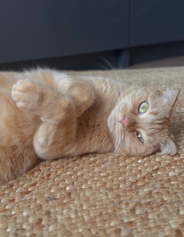 ������ ����, �������������!