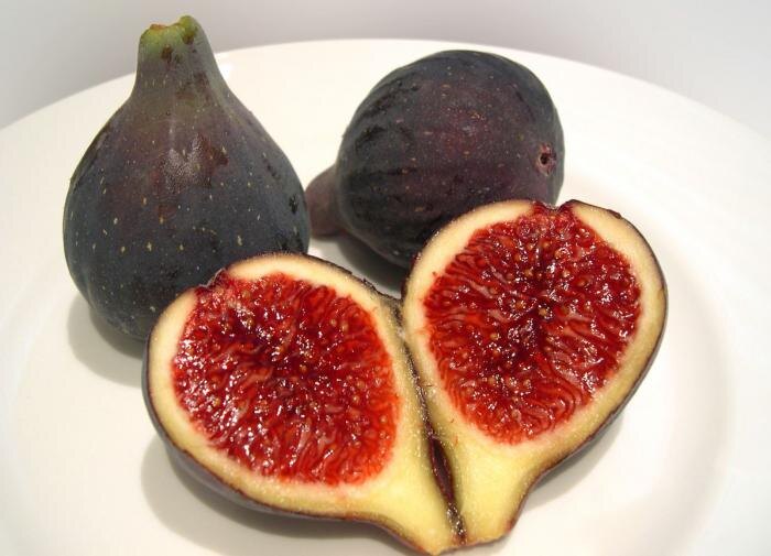 Выращивание инжира: от дачи до квартиры