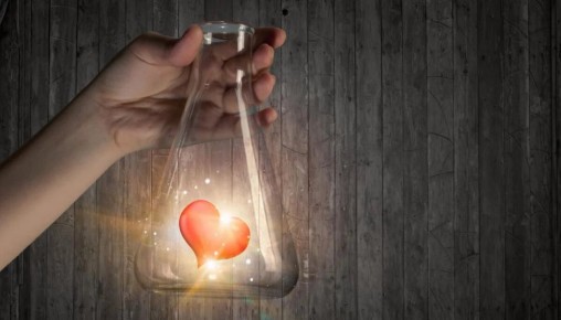 ����� ����� ���������: ����� ����� ������� ������� ���� �� �����