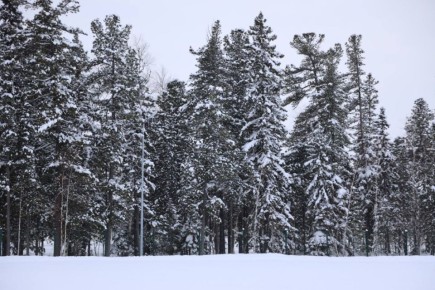 ��������: ��������� ������� ������� ������