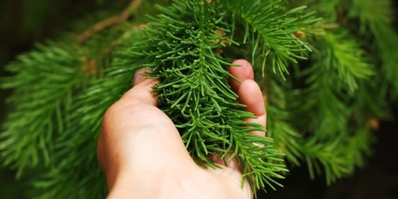 ��� ������� ��������� ������� ���: ������ �� ����� � ������������