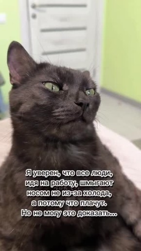 ������� � �������� ���� ������������