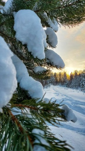 ������ ����, �������������!