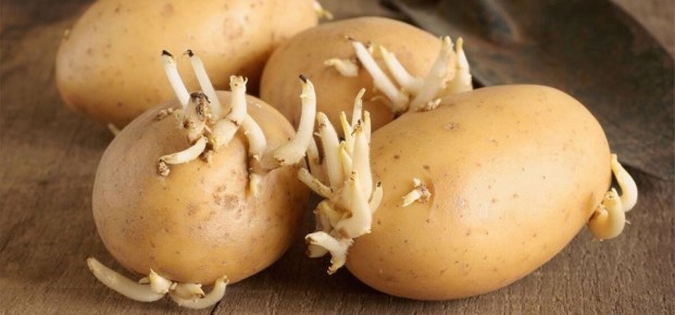 ��������� ����������� � ����������: ��� ����� �� ��� � ��� ��� ����������