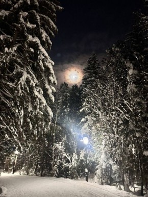 ����� ����������� ��������, �� ����� �������� ���� ������� � ����� � ��� ������ ���� ���������