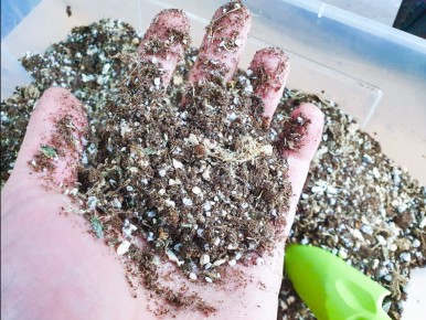 ������������� ����� ��� ����������: ������ � ��������