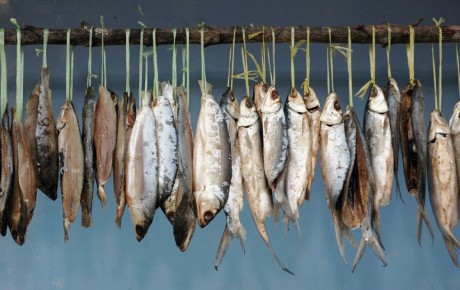 ��� ��������� ������ ����: ���� � ������������ ������