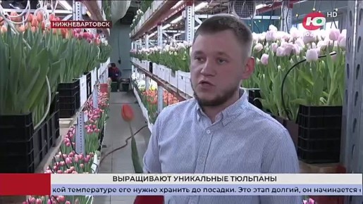 � �������������� ���������� ��������� ��� �������� ����� �����