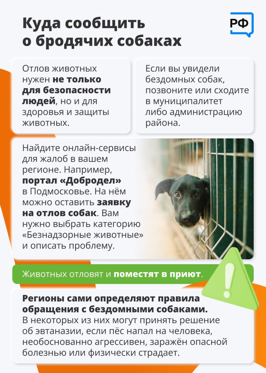 Осведомленность – путь к правильным действиям Осведомленность – путь к правильным действиям