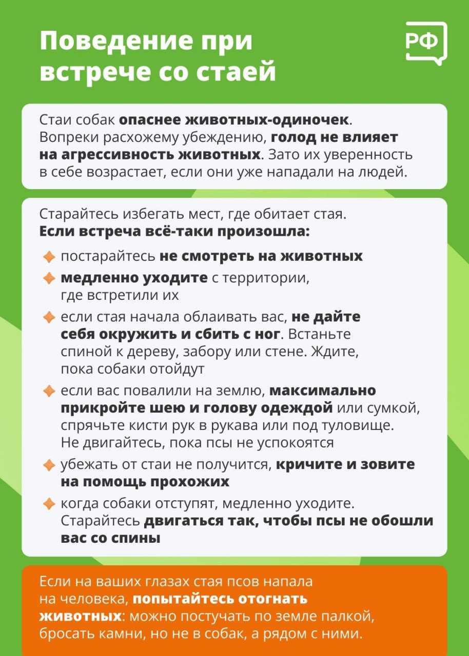 Осведомленность – путь к правильным действиям Осведомленность – путь к правильным действиям