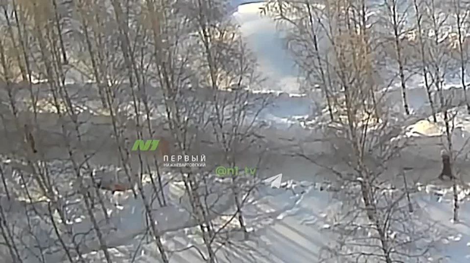 ����������� ����� ������������� ���������� N1 ��������� ���� ������ ������������