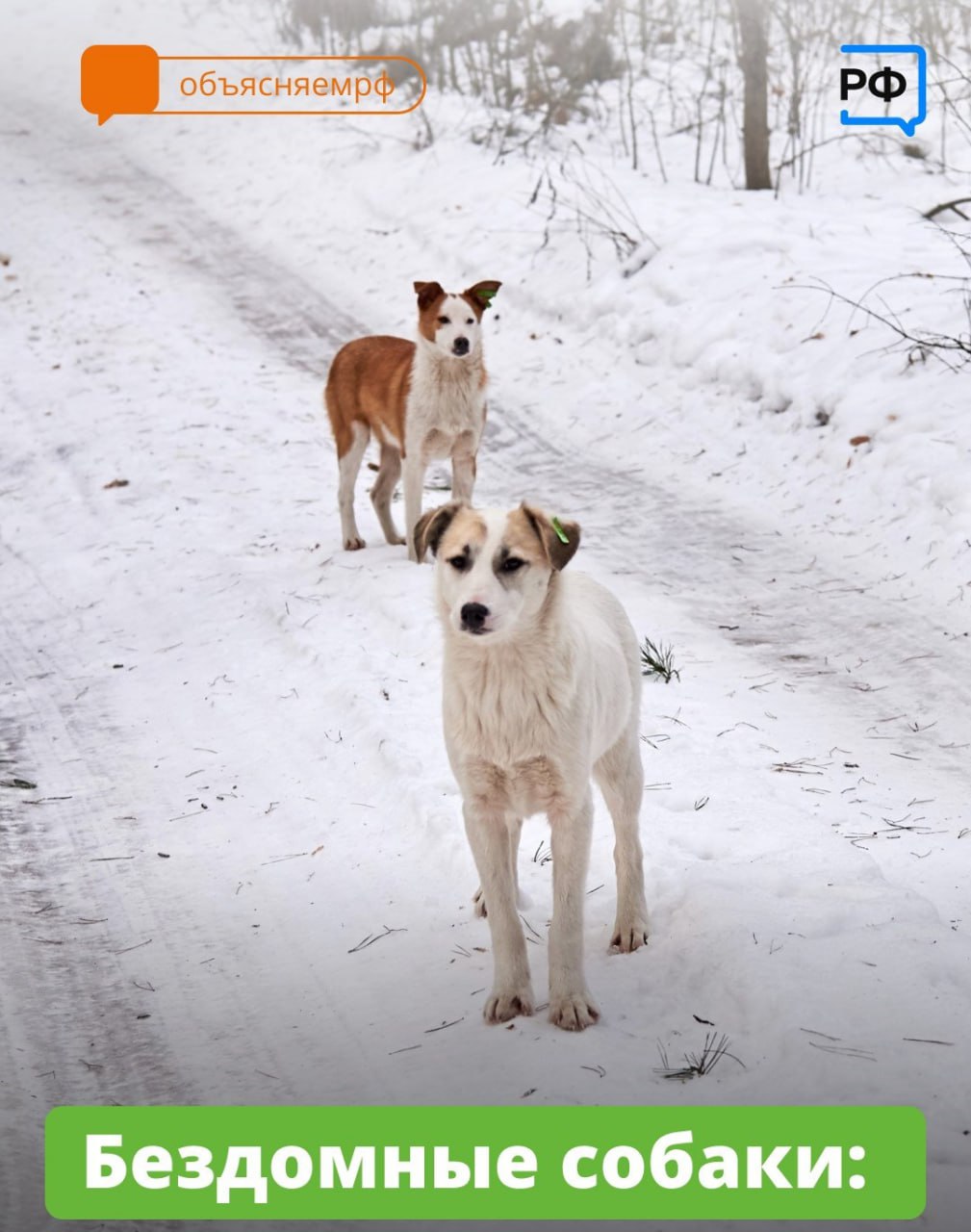 Осведомленность – путь к правильным действиям