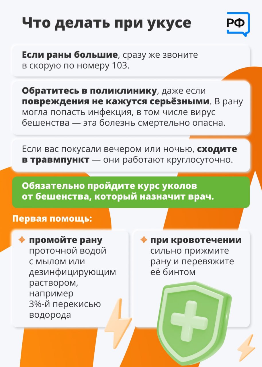 Осведомленность – путь к правильным действиям Осведомленность – путь к правильным действиям
