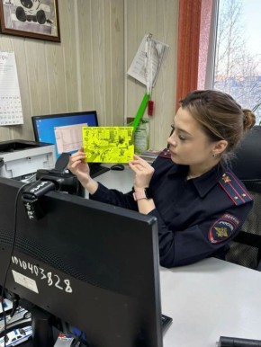 ����������������� ���� ���������� ���������������� ������ � ������ � ��������� �������� ��������