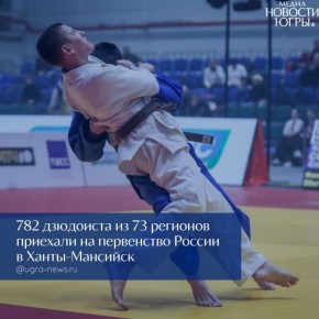 ������ ������ �������: �������� ������ ������� �������� �� ���������� ������ �� �����