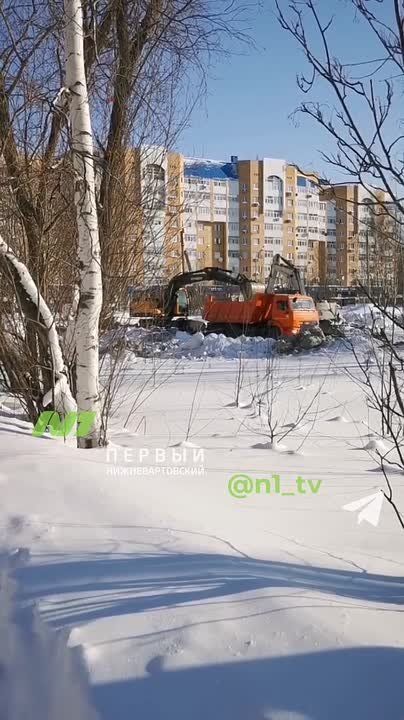 � �������� ����������-3 �������� �����-�� �������