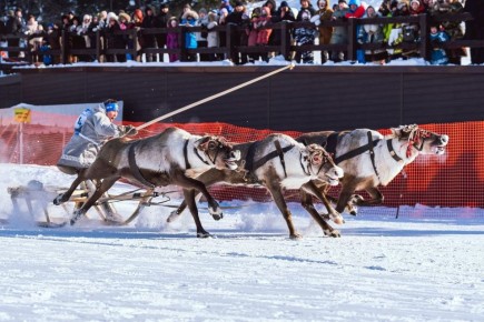 ��� ��������� ������������������ � ���� ������ ������������ ����� ������ �� ������� ��������