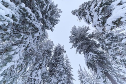 ������ ������ ������������� ����������� ������