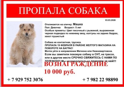 10 000 ������ �� �����.. � �������������� ���� ����������� ������� �� ������ �����, ������� ������� ��� � �������, �� ������� �� ������ ������� ����� ��������. �������������� �������������