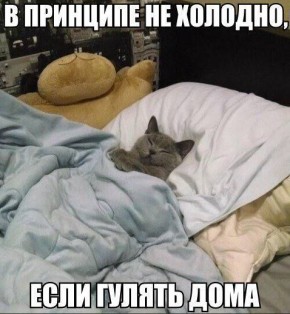 ������� ������ �� ������ ������� �� ����