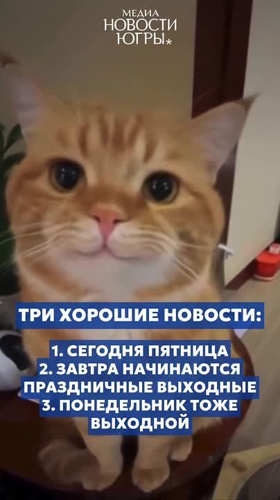 Админ счастлив. Всем отличных выходных! Подпишись на Новости Югры | Читать нас в MAX