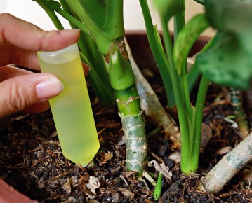 ��� ������� ��������� ��������� ��� ��������� ��������