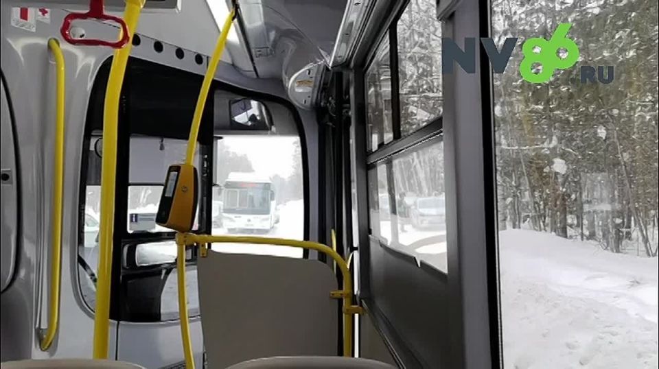 Транспортный коллапс в Ягоме, где проходил фестиваль Зов Предков