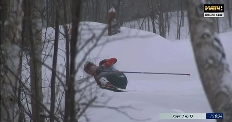 Собака помешала югорчанке побороться за медали на чемпионате России по лыжным гонкам