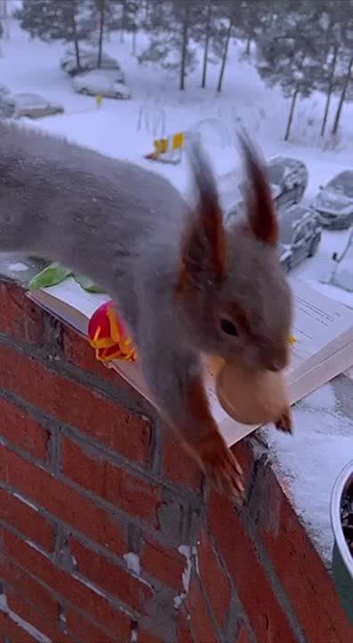 В весенних праздниках прекрасен даже не сам факт праздника, а люди, когда готовятся к нему