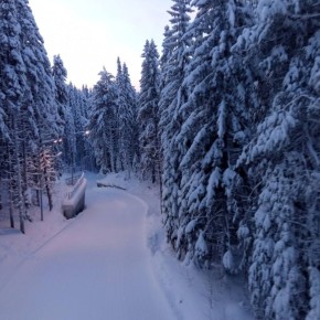 ������ � ����� �������� ���������� ������