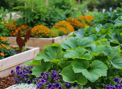 ������ �������������� ������ �� ������ �������� � �������� �������