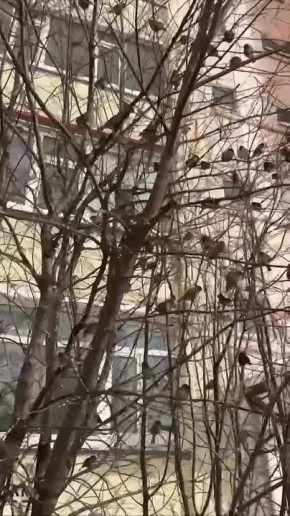 ����� ��� ������ ������ � ����� ����, ������ ������ ����, � ���� ������ ����� ������