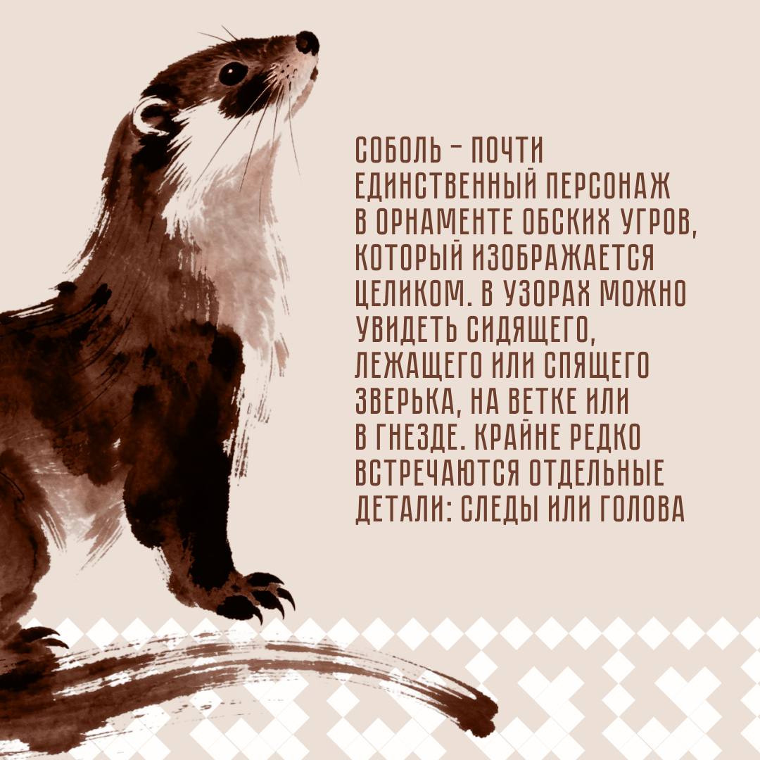 Почему соболь стал одним из главных символов орнамента ханты и манси? Почему соболь стал одним из главных символов орнамента ханты и манси?