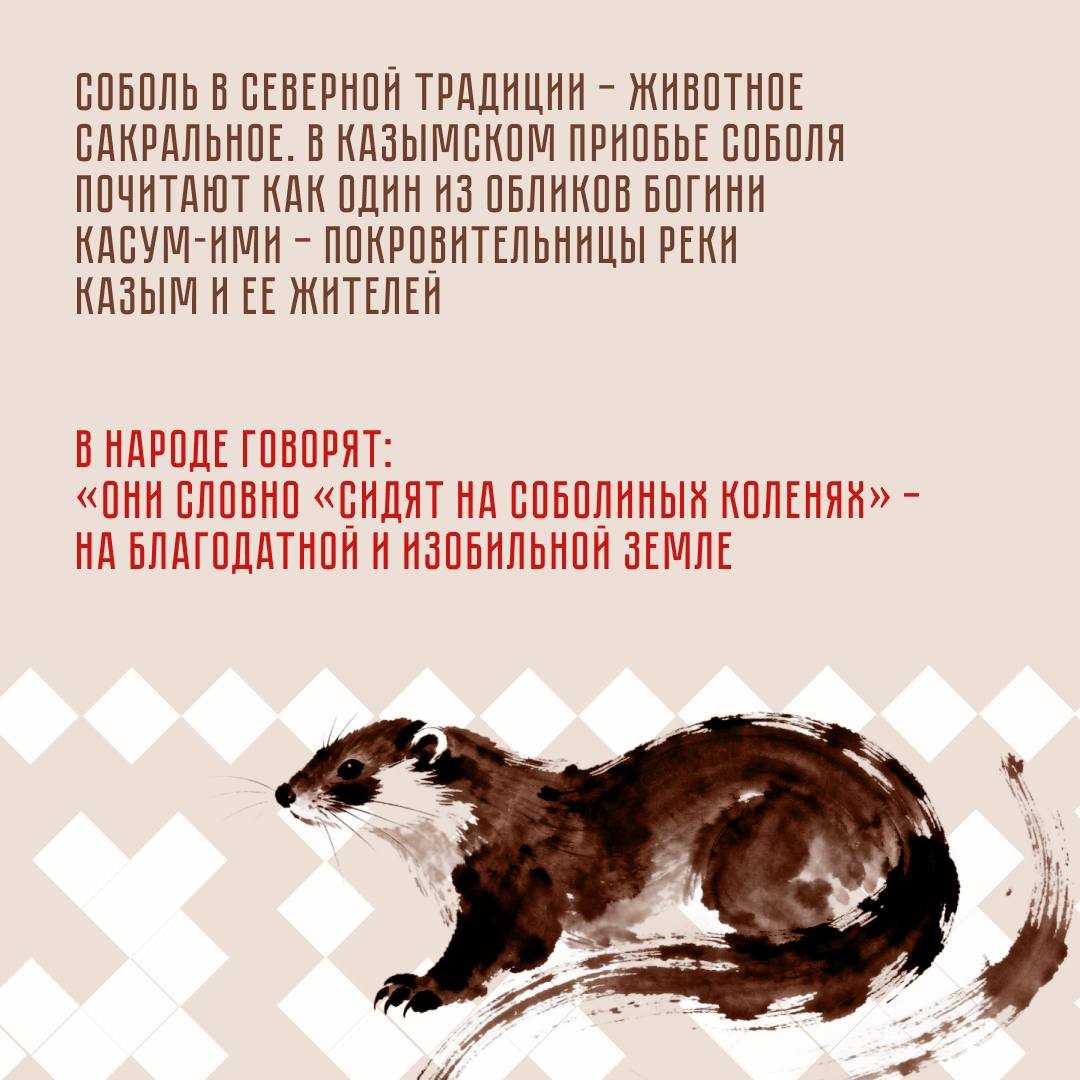 Почему соболь стал одним из главных символов орнамента ханты и манси? Почему соболь стал одним из главных символов орнамента ханты и манси?