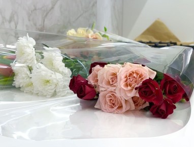 ��� ��������� ����� �� ������ �����: ������� �� �������� ���������