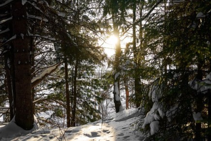 ������ ����, ����!. �� ���� ��� ����������? ������ ���������� ������, ��� ������� � ���-�� ��-���������� ������ � �������