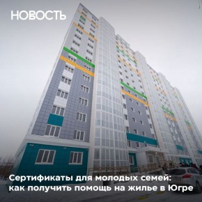 �� 15 ��� � 2011 ���� ��������� �������� 3 042 �����