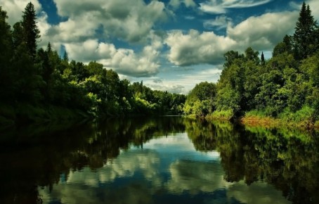 ������� ��������� ���� ���������� �� ����� ������