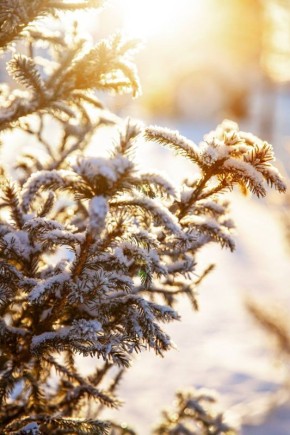 Доброе утро понедельника, Сургут