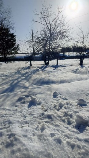 Путешествие в родные края: как весна скрасила семейные встречи