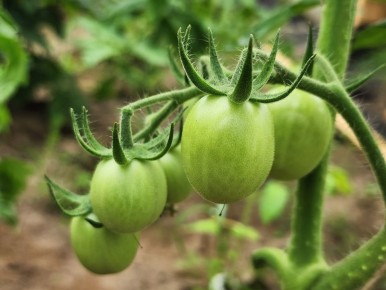 ���� �� �������� � ����: ��� ��������� ������� ������