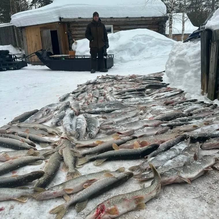 ������� ���� �������� ������ �� ��� ��� � �������� ������ (����)