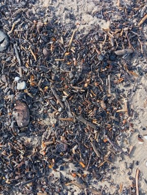 Пенсионный отдых у моря